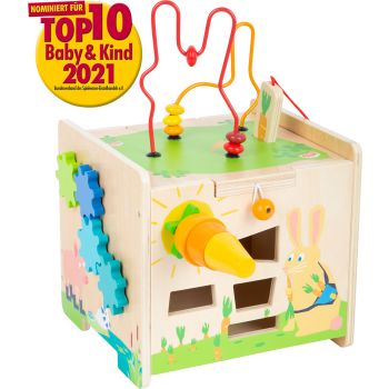 Dado motricita Coniglio