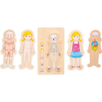 Puzzle a strati Anatomia Ragazza
